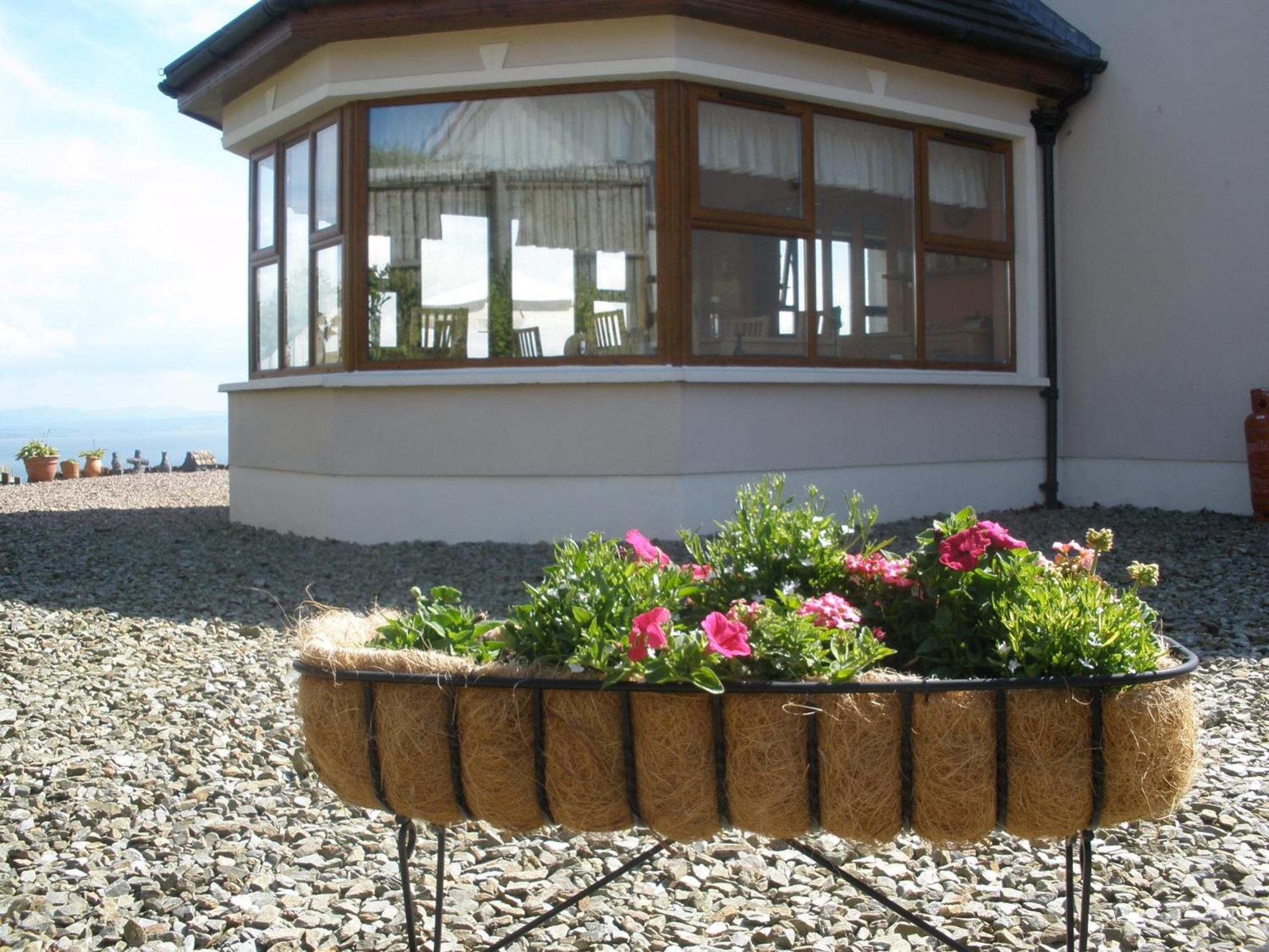 Inishowen Lodge B&B Moville Extérieur photo